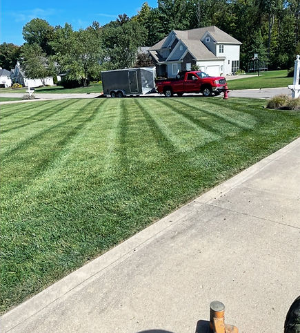 Lawn Maintenance Service