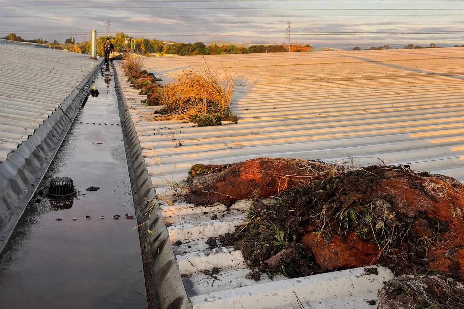 [HERO] The Ultimate Guide to Commercial Gutter Cleaning: How to Protect Your Building and Your Budget