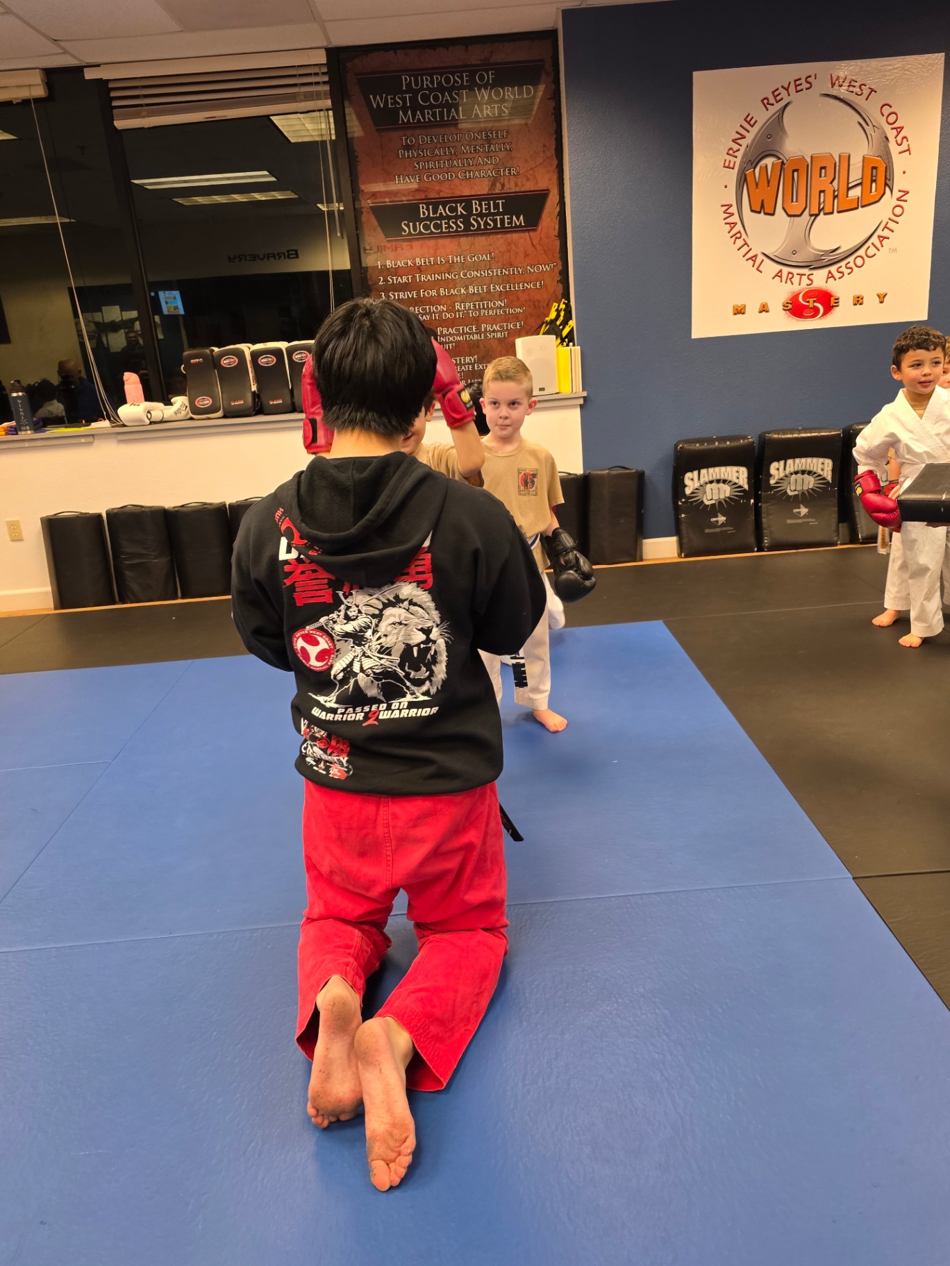 Martial Arts Class Instruction