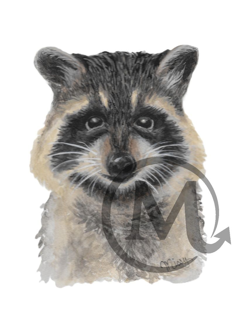 watercolor-raccoon-face-art-print.jpg