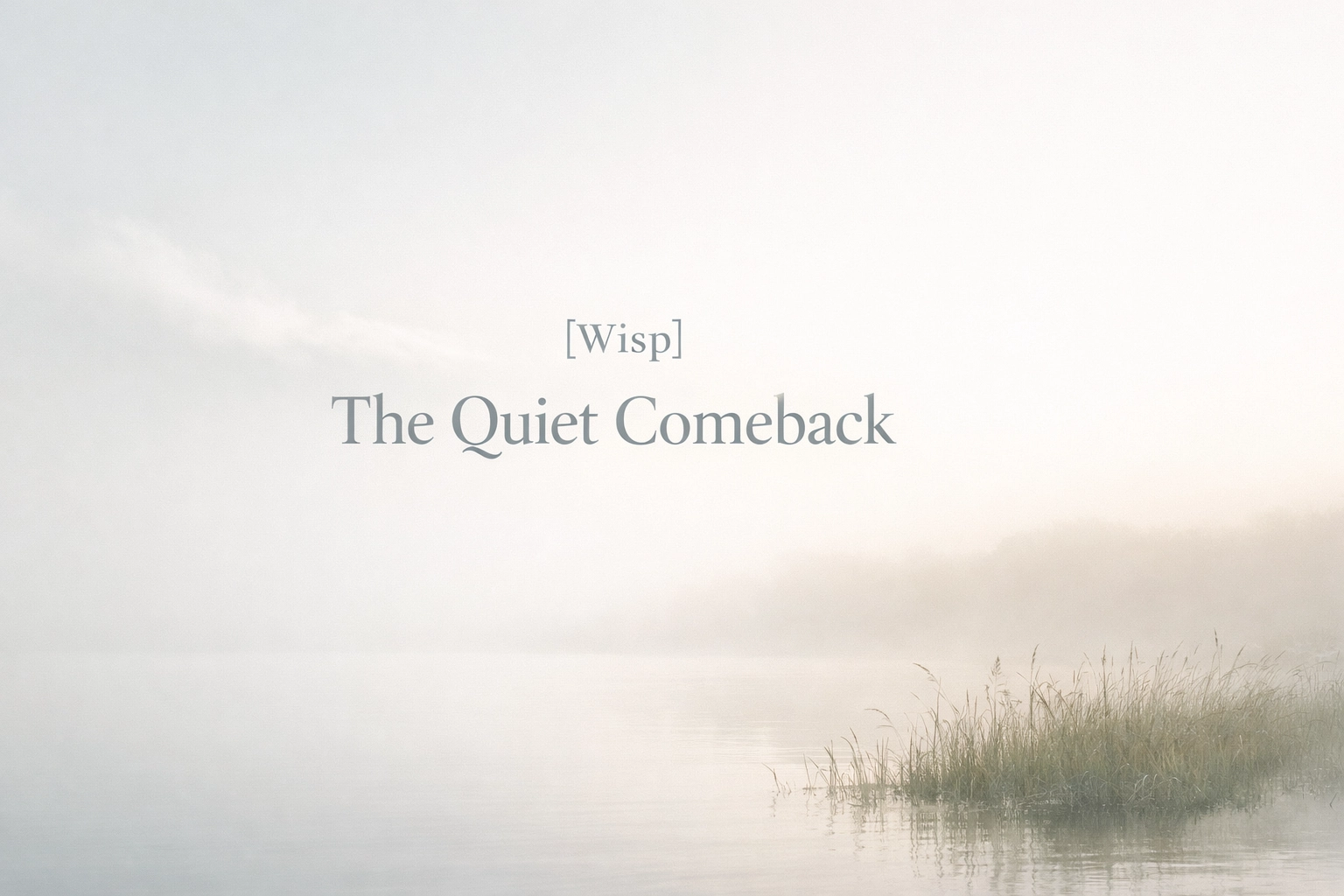 [HERO] [Wisp] The Quiet Comeback