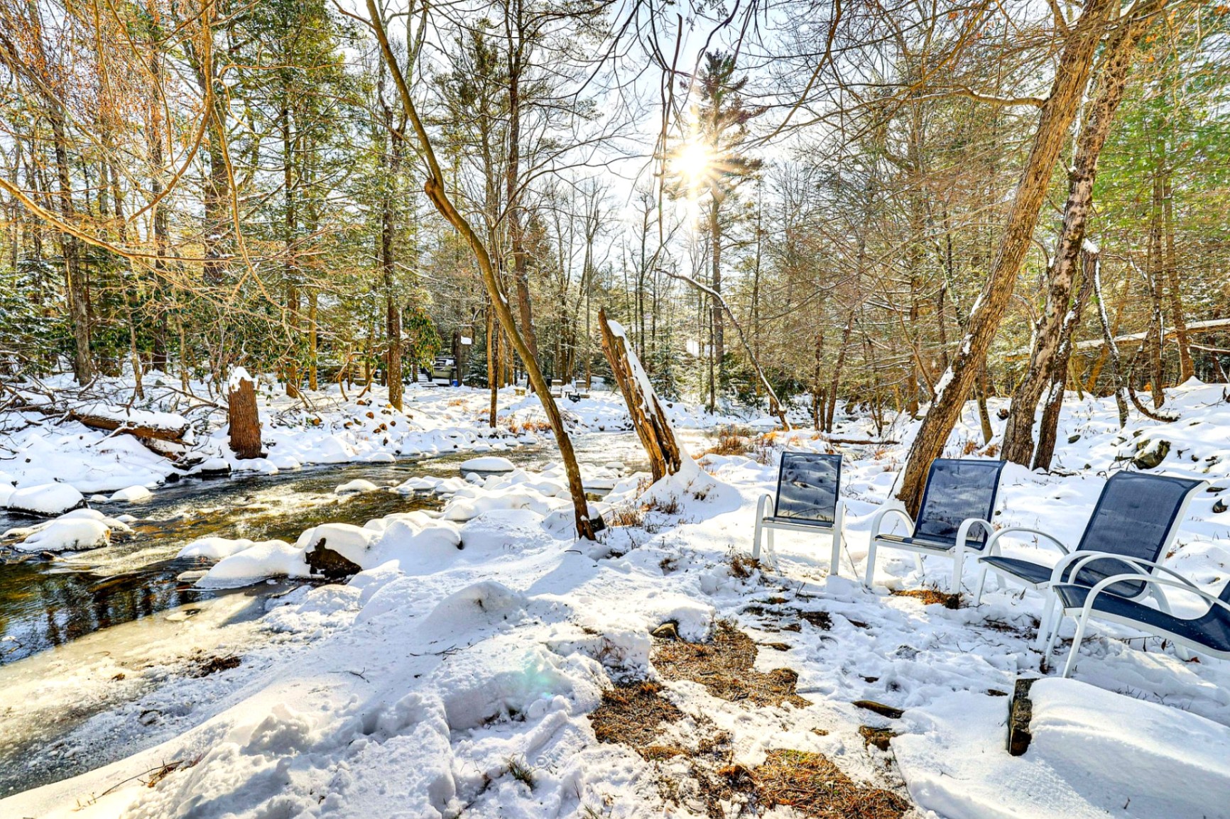 [HERO] Private Creek Access at Bearly Roughing It