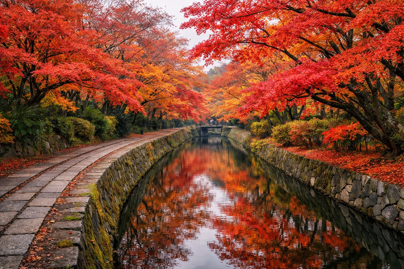 Vibrant autumn maple trees reflecting in the canal along the Philosopher's Path, a top instagrammable place in Kyoto.