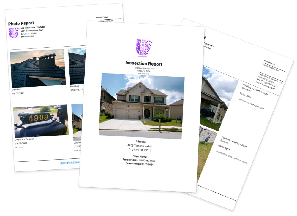 photo-id-sample-inspection-reports